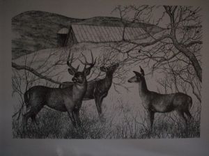 Three Deer Pen & Ink Print